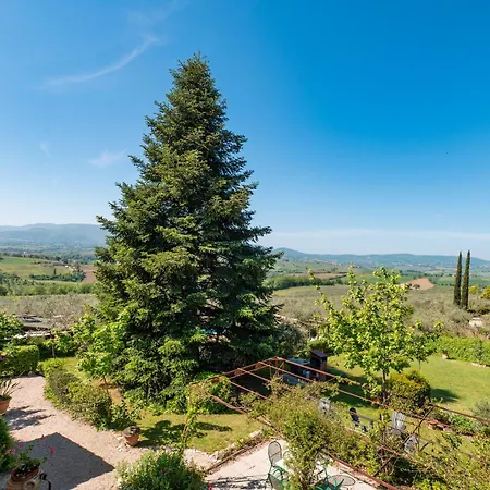 Apartman Il Grappolo E La Rosa