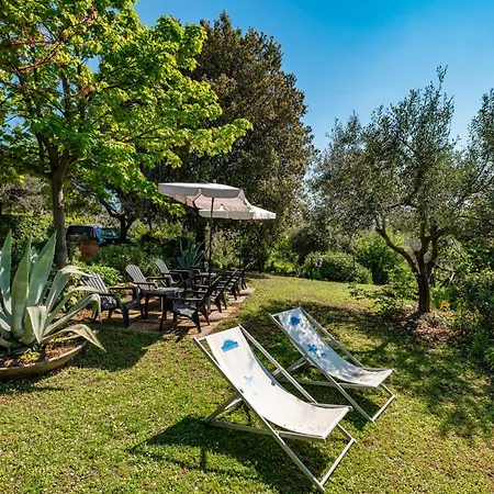 Apartment Il Grappolo E La Rosa
