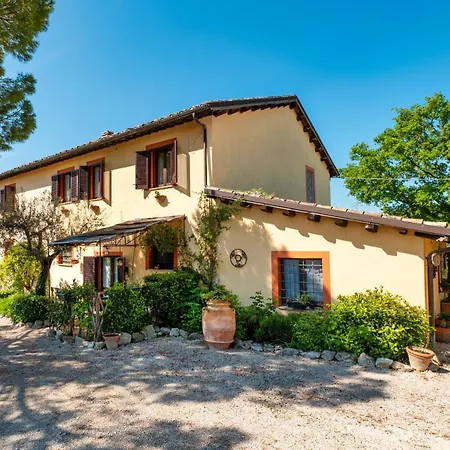 Il Grappolo E La Rosa