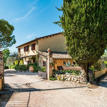 Il Grappolo E La Rosa Montefalco