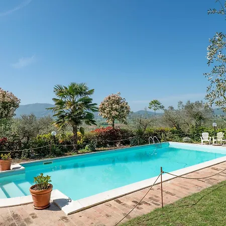 Il Grappolo E La Rosa Daire *