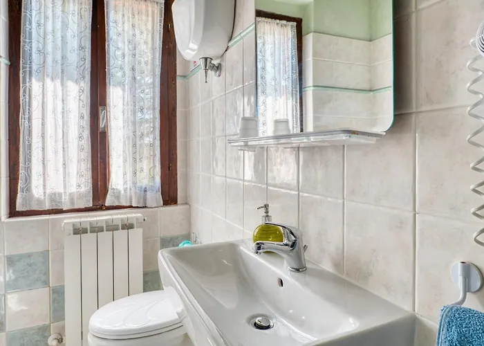 Il Grappolo E La Rosa